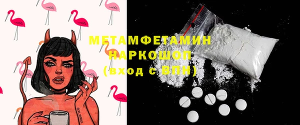 индика Гусь-Хрустальный