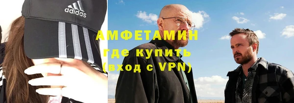 индика Гусь-Хрустальный