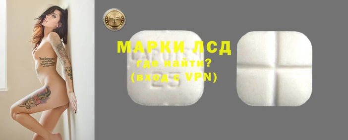 PSILOCYBIN Дмитриев