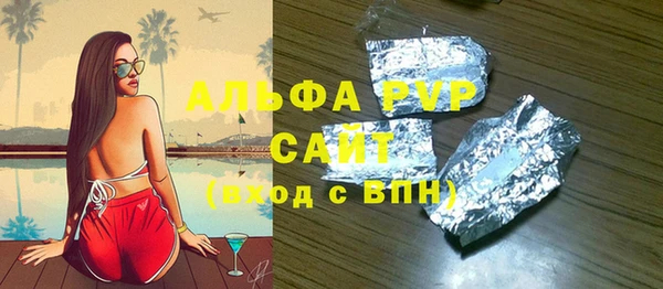 PSILOCYBIN Дмитриев