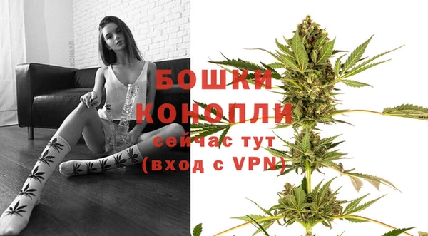 PSILOCYBIN Дмитриев
