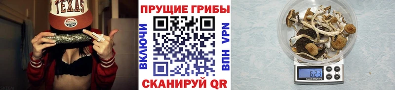 MEGA маркетплейс  закладка  Нариманов  Псилоцибиновые грибы мухоморы 